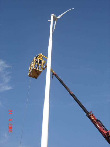 DSC03443