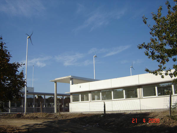 DSC03451